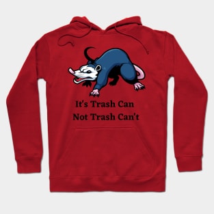 It's Trash Can Not Trash Can't Hoodie